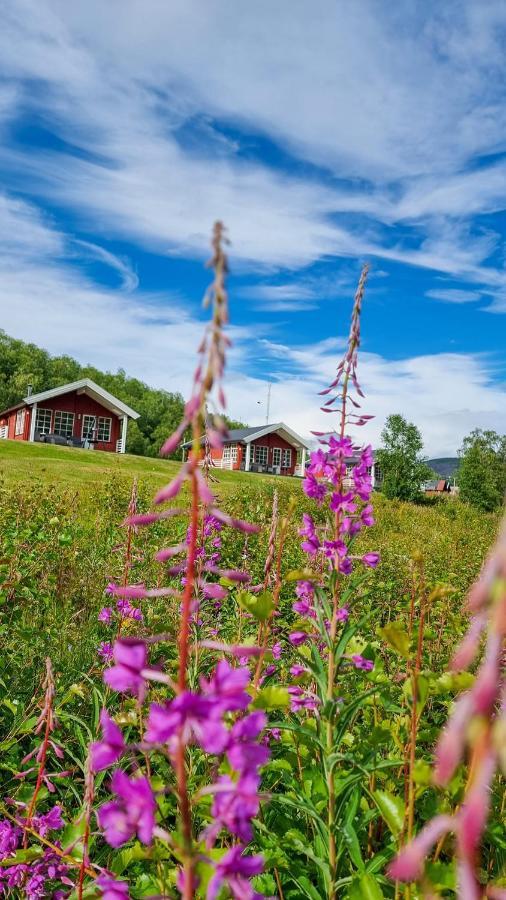 Levajok Lodge Tana Exterior foto